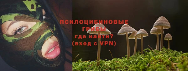 спиды Зеленодольск