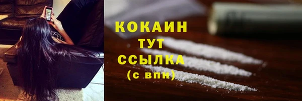 СК Осинники