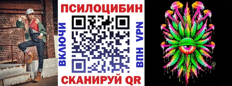цены   Новоузенск  Галлюциногенные грибы Cubensis 